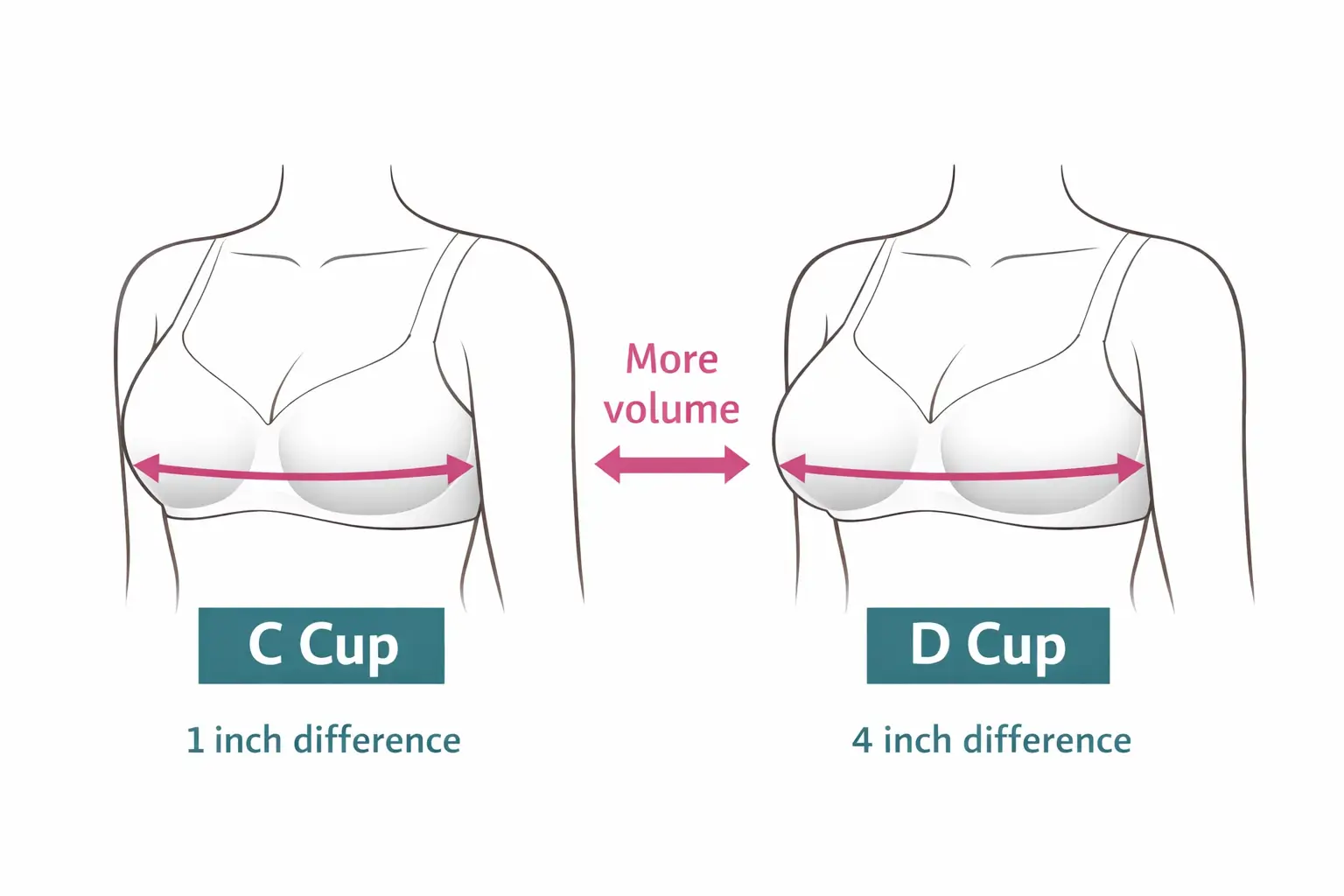 Difference between C cup and D cup bra sizes