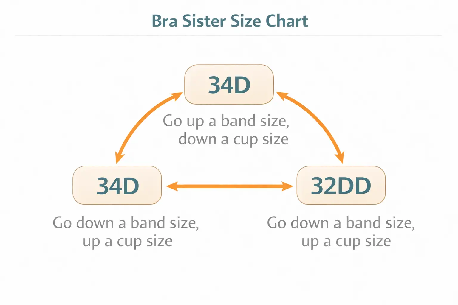 Sister sizes related to D cup bra size