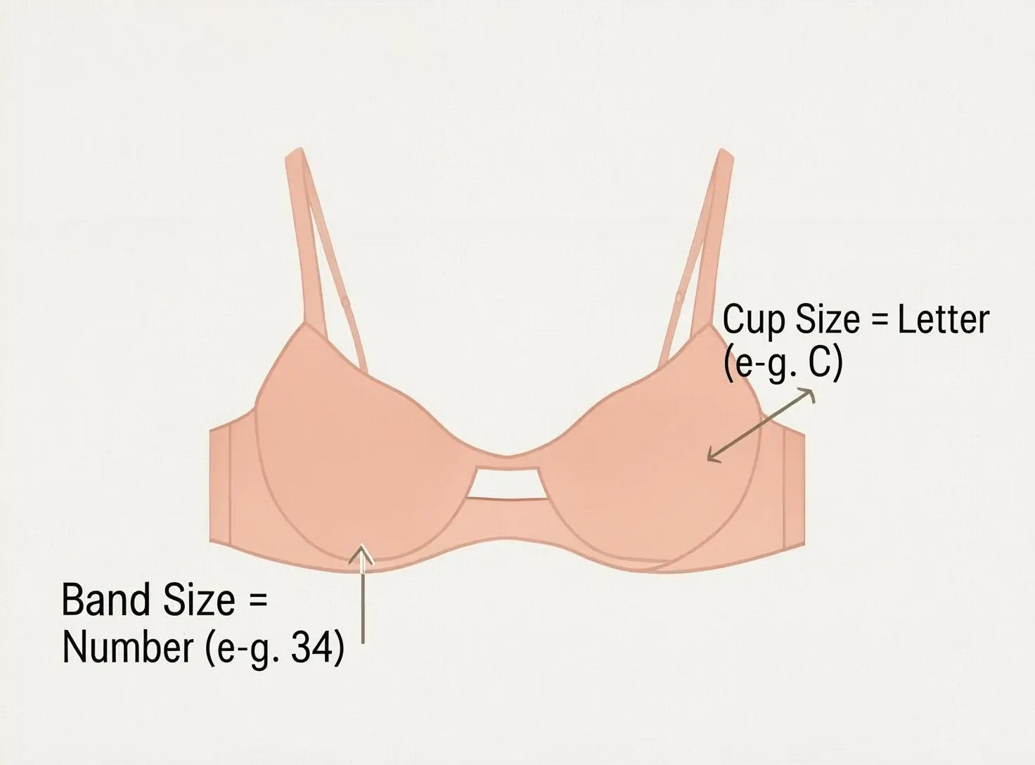 Diagram showing bra size anatomy with band size number and cup size letter labeled