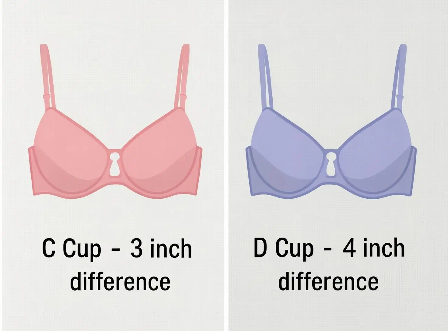 C cup vs D cup bra size comparison infographic showing the difference in cup measurements