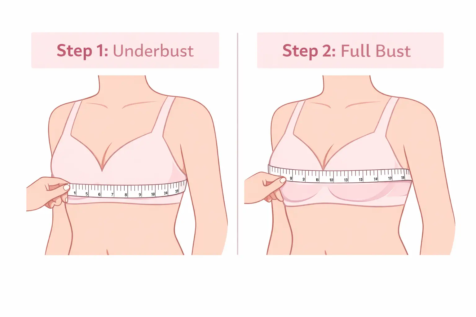 Step by step illustration showing how to measure underbust and bust to find C cup bra size