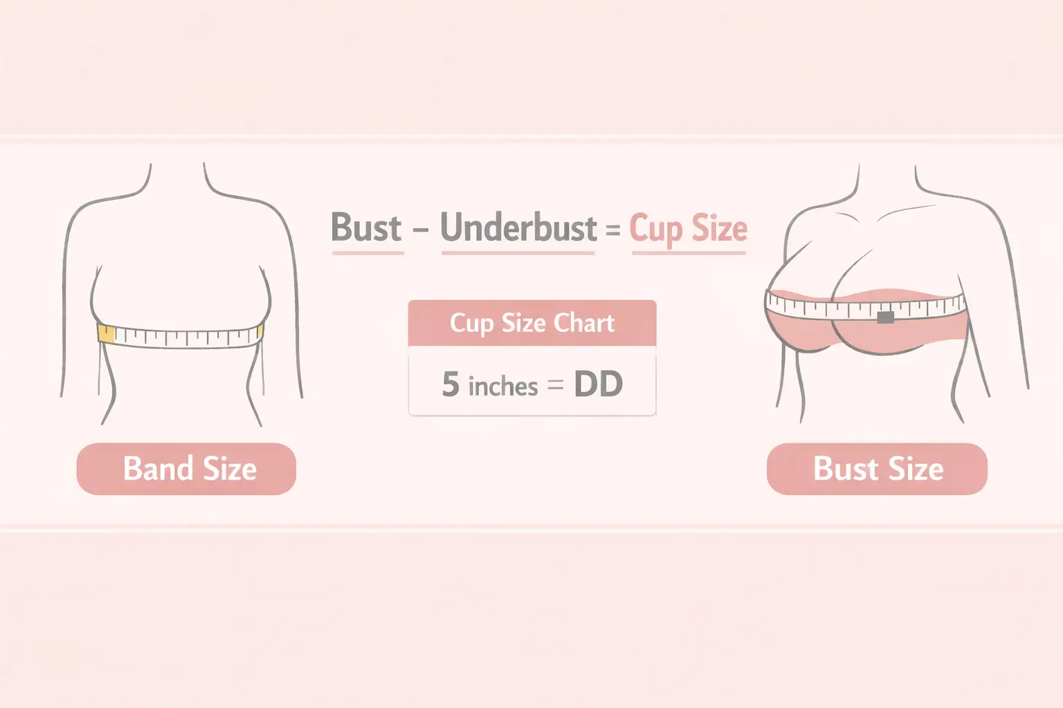Diagram explaining what DD means in bra sizing with band and bust measurements